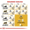 Royal Canin Siamese Siyam Kedilerine Yetişkin Kedi Maması 2 Kg