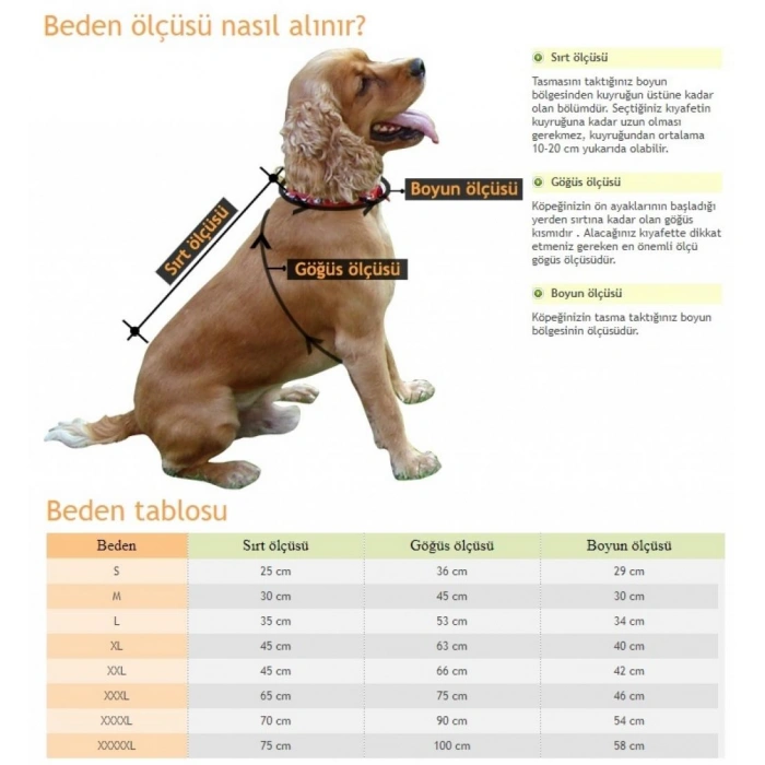 Renkli Köpek Göğüs Tasma Takımı 21-33 cm