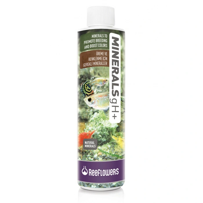 Reeflowers Minerals gH+ Üreme ve Renklenme 50 ml.