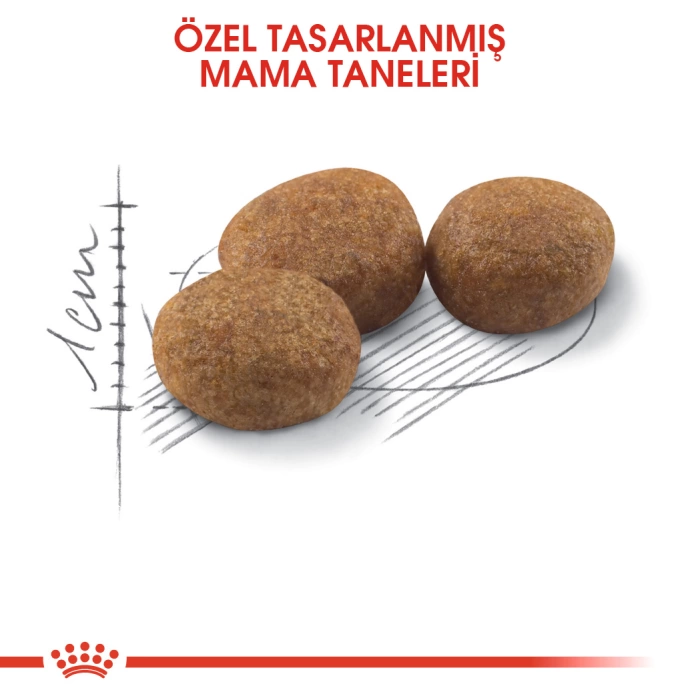 Royal Canin Sterilised Tavuklu Yetişkin Kedi Maması 2 Kg