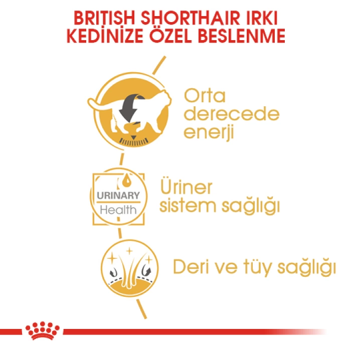 Royal Canin Pouch British Shorthair Irkına Özel Yaş Kedi Maması 85 Gr.