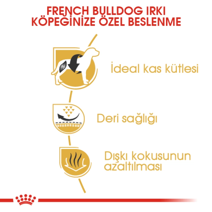 Royal Canin French Bulldog Adult Yetişkin Özel Irk Köpek Maması 3 Kg