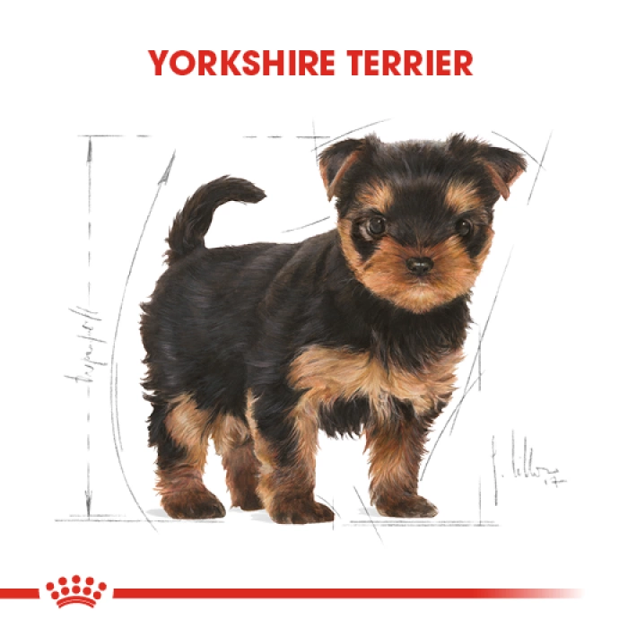 Royal Canin Yorkshire Terrier Junior Yavru Köpek Maması 1.5 Kg