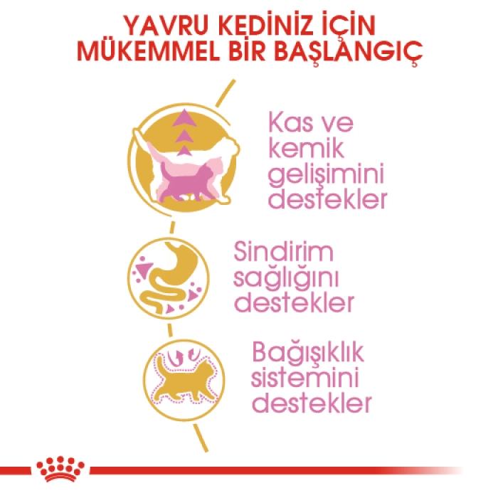 Royal Canin British Shorthair Kitten Yavru Kedi Maması 2 Kg