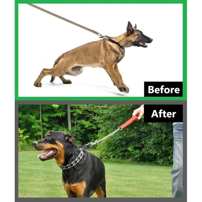 Köpek Kauçuklu Yürüyüş Boyun Zincir Eğitim Tasması 4 mm x 60 cm