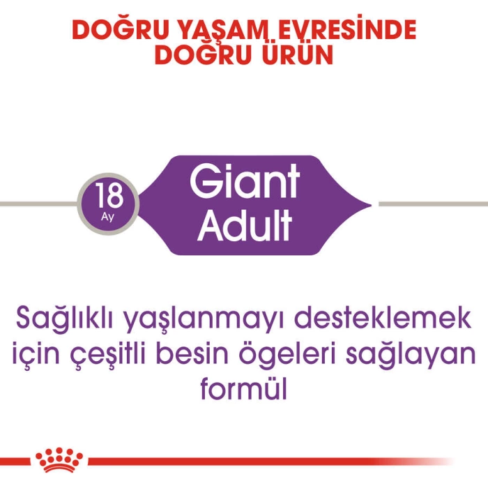 Royal Canin Giant Adult İri Irk Yetişkin Köpek Maması 15 Kg