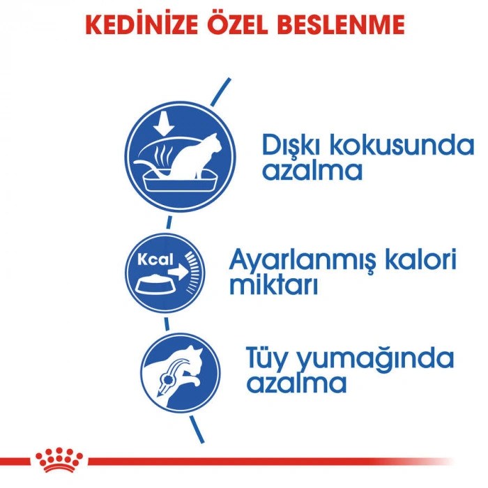 Royal Canin Indoor Ev Kedileri İçin Yetişkin Kedi Maması 2 Kg