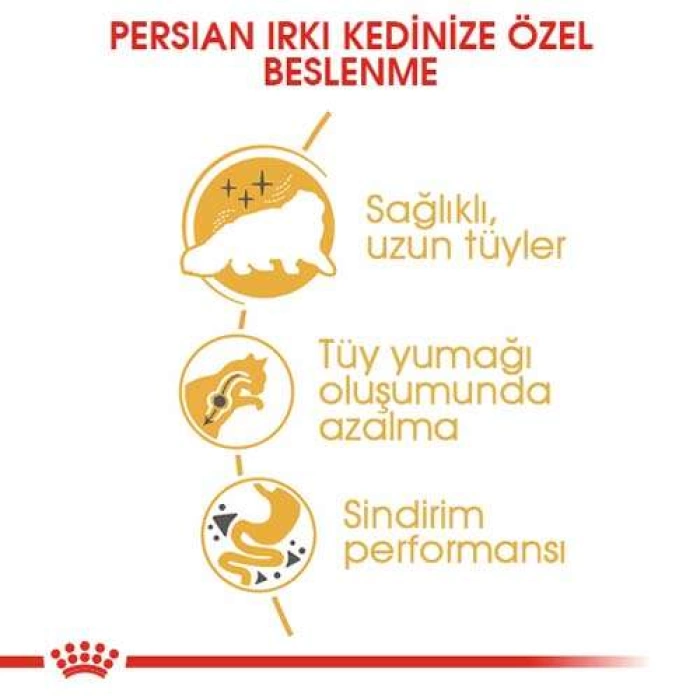 Royal Canin Adult Persian İran Yetişkin Irk Kedi Maması 2 Kg