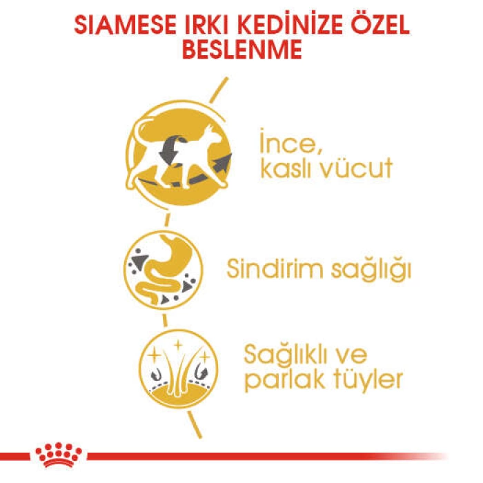 Royal Canin Siamese Siyam Kedilerine Yetişkin Kedi Maması 2 Kg