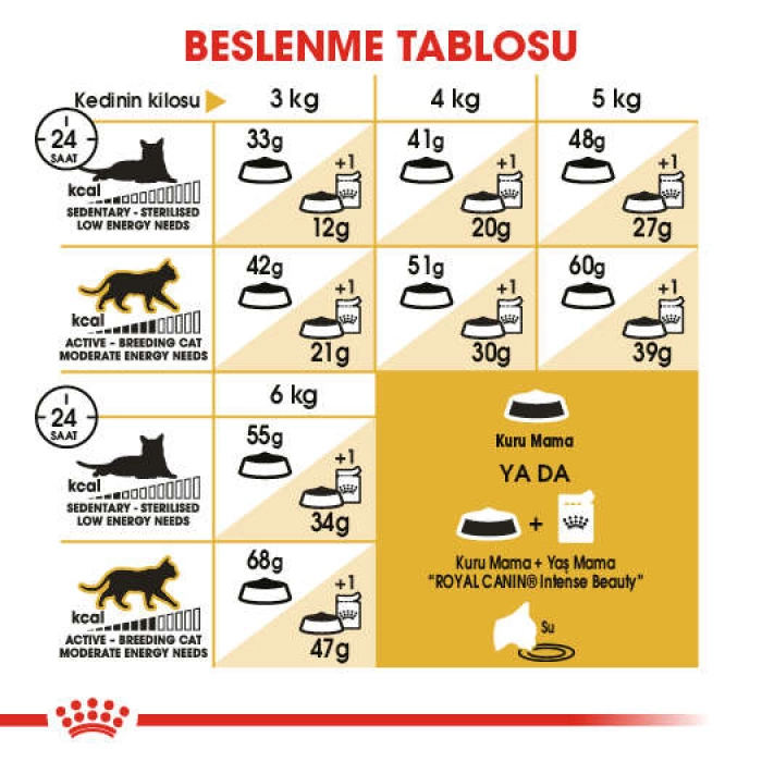 Royal Canin Siamese Siyam Kedilerine Yetişkin Kedi Maması 2 Kg