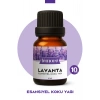 Lavanta Uçucu Koku Yağı Buhurdanlık Yağı Difüzör Esansı Küre 10ml