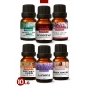6lı Set 1 Esansiyel Uçucu Yağ Buhurdanlık Yağı Hava Nemlendirici Aroma Difüzörü Kokusu Esans 10ml S