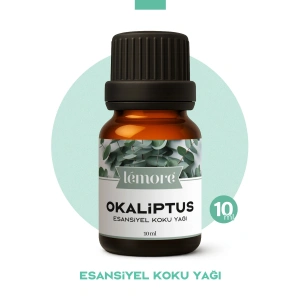 Okaliptus Uçucu Koku Yağı Buhurdanlık Yağı Difüzör Esansı Küre 10ml