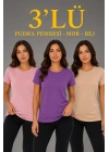 3’lü Kısa Kollu Bisiklet Yaka Basic Slim Fit T-Shirt - Pudra Pembe - Mor - Bej