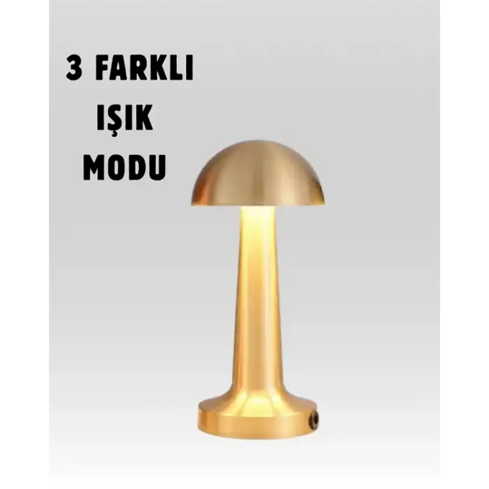 %100 Kademeli Ayarlanabilir Işık – USB Şarjlı Masa Lambası