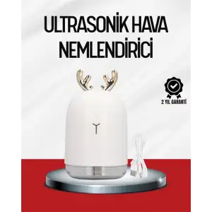 El Tipi USB Mini Soğuk Mist Nemlendirici 220 ml Tank