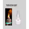 0621 LAMBA NEMLENDİRİCİ