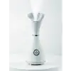 Nano İyonik Yüz Buhar Makinesi