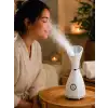 Nano İyonik Yüz Buhar Makinesi