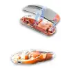 PG-9010 MOUSE FARE