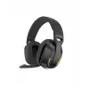 PGB500 BLUETOOTH OYUNCU KULAKLIĞI