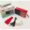 Rt-303 Usb Ve Micro Kart Girişli Manuel El Radyosu