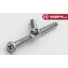 Yuvarlak Yıldız Başlı Ysb Civata M6x100 - 100 Adet