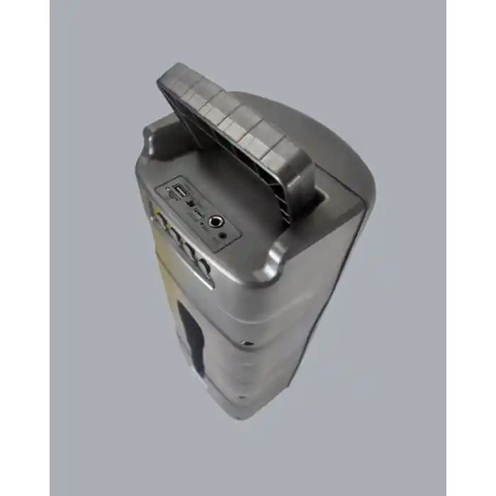 PG4266 Kablosuz Hoparlör