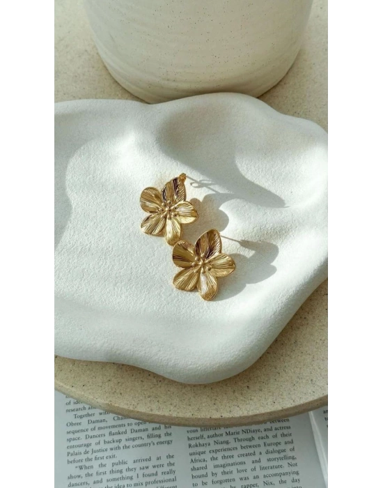 Erass Gold Küpe