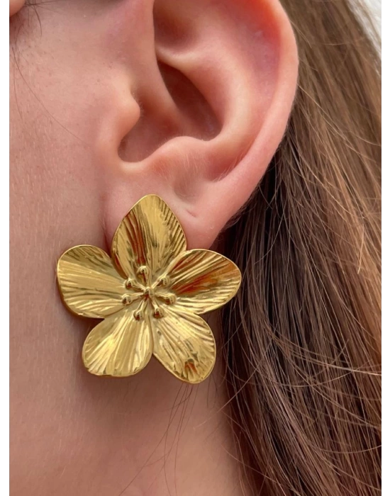 Erass Gold Küpe