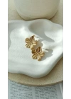 Erass Gold Küpe