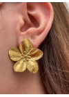 Erass Gold Küpe