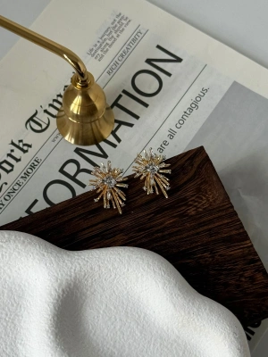 VİP seri Linda Küpe