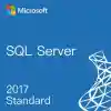 Sql Server 2017 Standard Oem Lisans Anahtarı Key