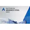 Advance Steel 2021