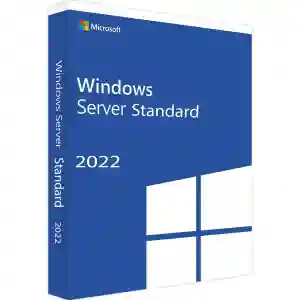 Windows Server 2022 STD dsp dvd kutu BOX 16 core