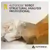 Robot Structural Analysis Professional 2024