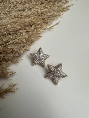 Altın Kaplama Full Taşlı Yıldız Küpe