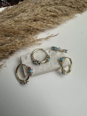 Altın Kaplama Renk Halka Küpe