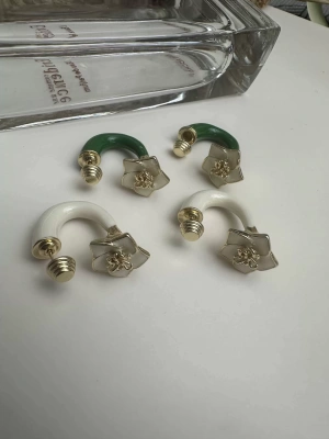 Bottega Yeni Sezon Halkalı Küpe