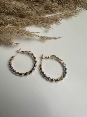 Çelik Çift Renk Halka Küpe