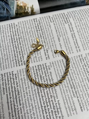 Çelik Çift Renk Zincir Geçişli Burgu Bileklik