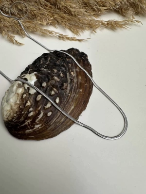 Çelik İnce Uzun İtalyan Zincir Kolye