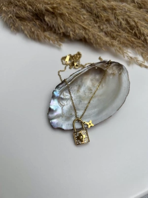 Çelik Kararmaz Kilit İçinde Yonca Detay Kolye