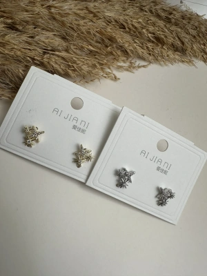 Gümüş Kaplama Kuzey Yıldızı Minimal Küpe