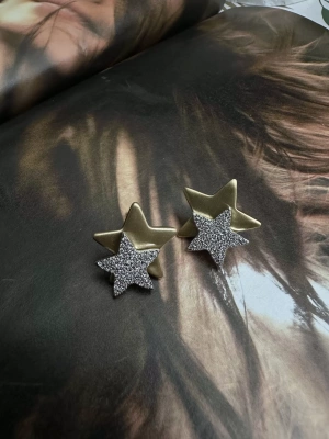 Mat Plaka Taşlı Yıldız Küpe