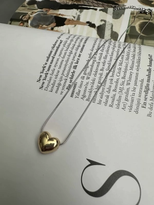 Özel Seri Çift Renk Kalp Kolye