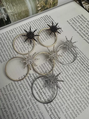 Özel Seri Taş Detay Kutup Yıldızı Küpe