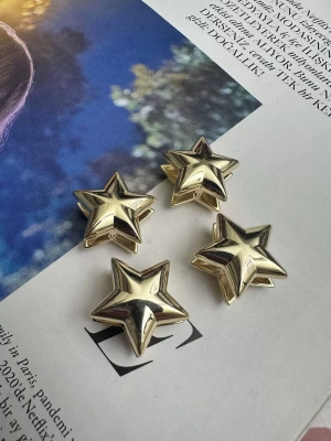 Özel Seri Yıldız Küpe