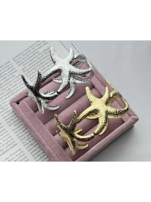 Pazu Deniz Yıldızı